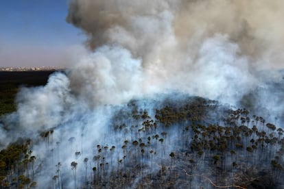 Un incendio avanza en el Bosque Nacional de Brasilia en medio de la temporada de sequía, el martes 3 de septiembre.