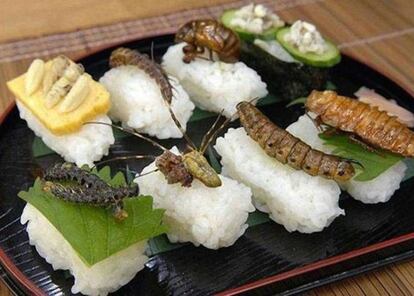 ¿No querías sushi? ¡pues toma dos tazas!