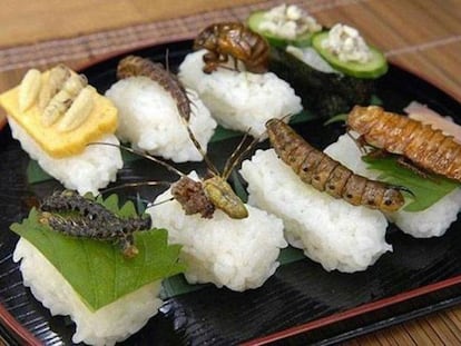 ¿No querías sushi? ¡pues toma dos tazas!