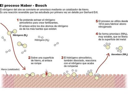 El proceso Haber-Bosch