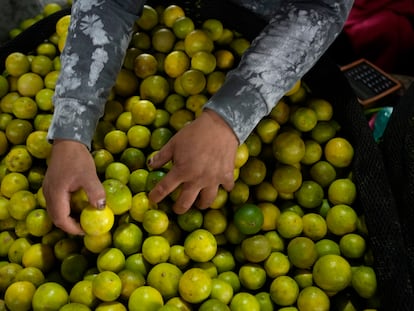 Un vendedor de limón en un mercado de productos agrícolas en las afueras de Lima, Perú.