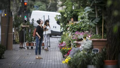 Una dona observa les plantes de la floristeria Navarro.