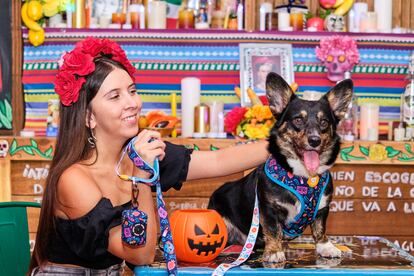 Diferentes artículos para perros de la colección Halloween de Dukier.