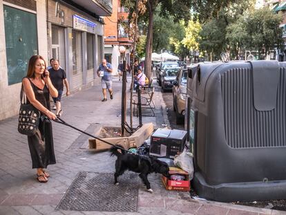 Un perro olisquea entre la basura acumulada de un contenedor en la calle Gutierre de Cetina.