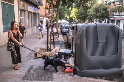 Un perro olisquea entre la basura acumulada de un contenedor en la calle Gutierre de Cetina.