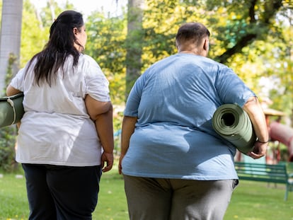 Dos personas con sobrepeso participan en una sesión de yoga en un parque.