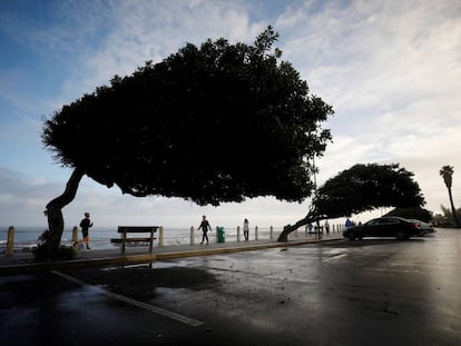 Deporte y cultura. Modos de pasar las distintas fases del confinamiento por covid-19. Aquí, imagen durante la hora del paseo y el footing en Ciudad del Cabo (Sudáfrica)