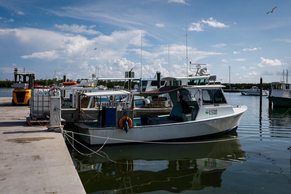 The Florida Keys tourist paradise is besieged by immigration agents ...