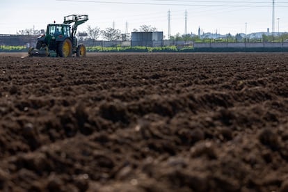 Un agricultor trabajaba en una finca de Andalucía con un tractor el pasado enero.