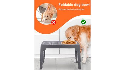 Comedero para perro sobre fondo blanco
