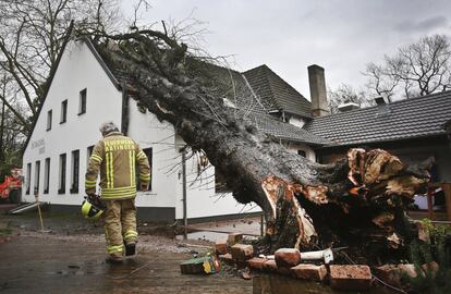 Al menos 26 personas resultaron heridas, cuatro de ellas graves, en Francia, donde varios aeropuertos y trenes quedaron paralizados. En la imagen, un bombero junto a un árbol caído sobre una vivienda en Ratingen (Alemania), el 3 de enero de 2018.