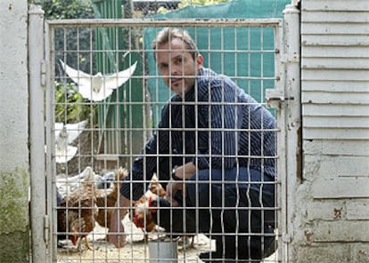 Miguel Bosé, dando de comer a las gallinas.