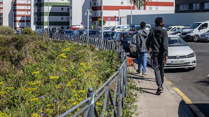 Menores migrantes por las calles de Tenerife.