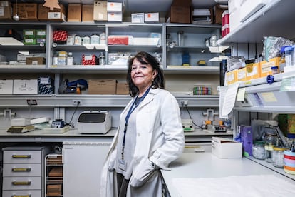 Marisa Toribio, jefa del departamento de Biología Celular e inmunología del Severo Ochoa, el pasado 15 de diciembre en su laboratorio.