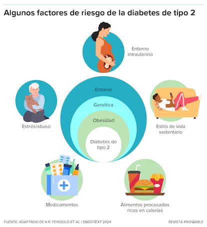 Los jóvenes experimentan muchos de los factores de riesgo que predisponen a padecer diabetes de tipo 2, como la exposición prenatal, la comida basura, el sedentarismo y los altos niveles de estrés.