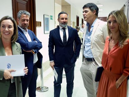 Los diputados electos del PP Cuca Gamarra, Jaime de Olano, Carlos Rojas García y Cayetana Álvarez de Toledo esperan para recoger su acta de diputado junto al líder de Vox, Santiago Abascal, este miércoles en el Congreso de los Diputados.