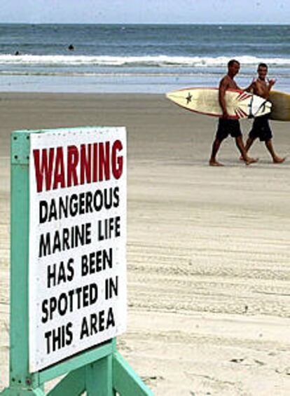 Un cartel advierte sobre la posible presencia de tiburones en una playa de Florida.