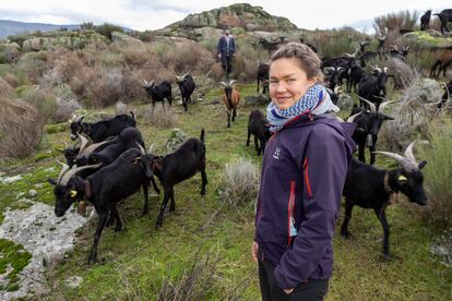 Hanna Pettersson, con el rebaño del pastor Roberto Montero (al fondo), el pasado viernes en Cuacos de Yuste (Cáceres).