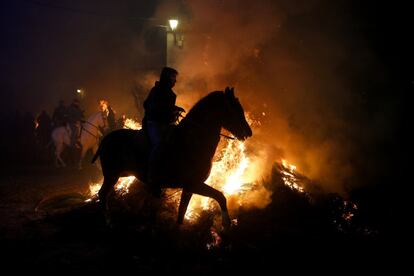 Cientos de personas se han desplazado desde diferntes puntos de Ávila y otras provincias hasta este municipio de la zona de Pinares. En la foto, un jinete monta su caballo durante las celebraciones.