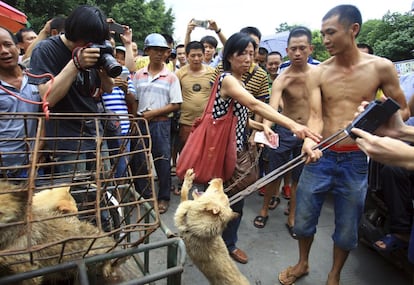 Una activista pro-derechos de los animales (centro) trata de detener a un vendedor que amenaza con golpear un perro ofreci&eacute;ndose a comparlo en Yulin, en la provincia de Guizhou, al suroeste de China. Un numeroso grupo de activistas pro-derechos de los animales han convergido en la ciudad en un intento de parar un festival del solsticio de verano en el que miles de perros son sacrificados para comida. 