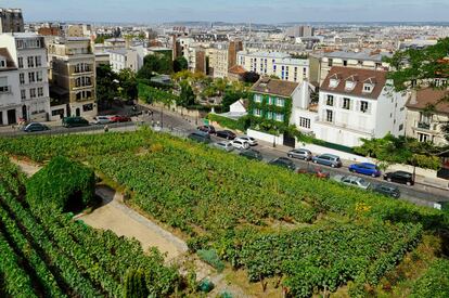 Clos-Montmartre, un viñedo de Montmartre, París.