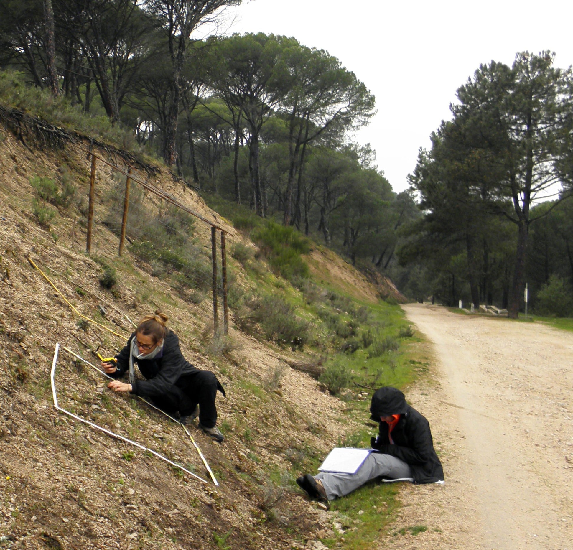 Biólogas recogen información en una ladera de Cadalso de los Vidrios (Madrid), en 2015. VIRGINIA VALCÁRCEL