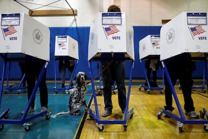 Field, un Setter Inglés de 1 año, acompaña a su dueño durante las elecciones legislativas de Estados Unidos, en un centro de votación de Nueva York.