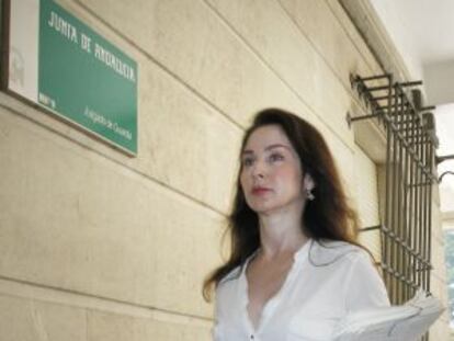 Alaya, a la seva arribada als jutjats de Sevilla.