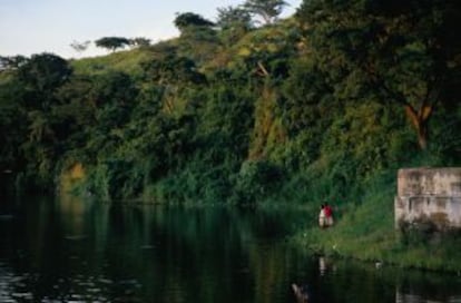 Nacimiento del Nilo Blanco, en el lago Victoria (Uganda).