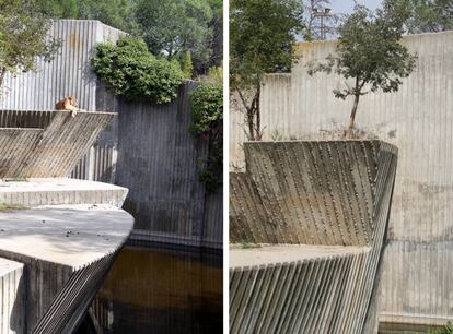 Los leones habitan uno de los espacios más destacados de Josep María Subirachs en el zoo. |