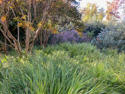 plantas y jardines