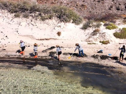 Un grupo de voluntarios limpia la playa Balandra tras el incendio de un yate, en el Estado de Baja California Sur, el 22 de agosto de 2022.
