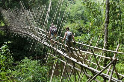 La ciudad más sofisticada de Borneo reúne un encantador casco antiguo, un romántico paseo marítimo, una gran cocina y locales nocturnos que parecen occidentales. Pero su mayor reclamo está en sus alrededores: un conjunto de maravillas naturales.