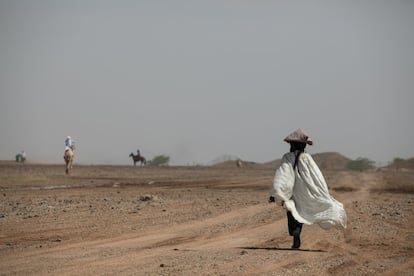 Mais um ano, os nômades Tuaregue e Wodaabe foram reunidos na festa nômade. Antes, durante e depois do festival, o tempo parece parar para dar lugar ao espetáculo, cor, música, sedução e arte. Em uma cultura cuja sobrevivência depende da existência e manutenção da pecuária, o futuro parece incerto. Mas é hora de continuar. Os animais são bem alimentados e se beneficiaram da 'cura salgada'. As chuvas não aparecerão até maio ou junho. Em poucos meses, os nômades contarão as histórias e os segredos da viagem, "se os deuses permitirem, Inshallah".