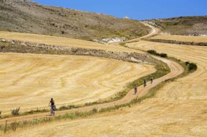 Peregrinos en bici entre Rabé de las Calzadas y Hornillos del Camino, en la provincia de Burgos, en el Camino de Santiago.