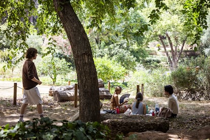 Unos jóvenes pasan la tarde en otro de los refugios climáticos que Barcelona ha seleccionado, El jardín botánico histórico de Montjuic, este lunes.