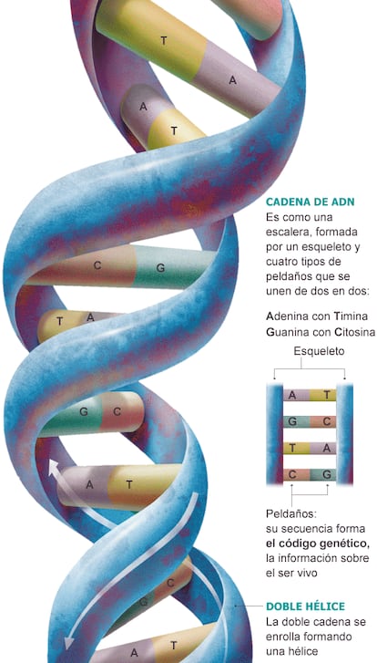 Fuente: elaboración propia.