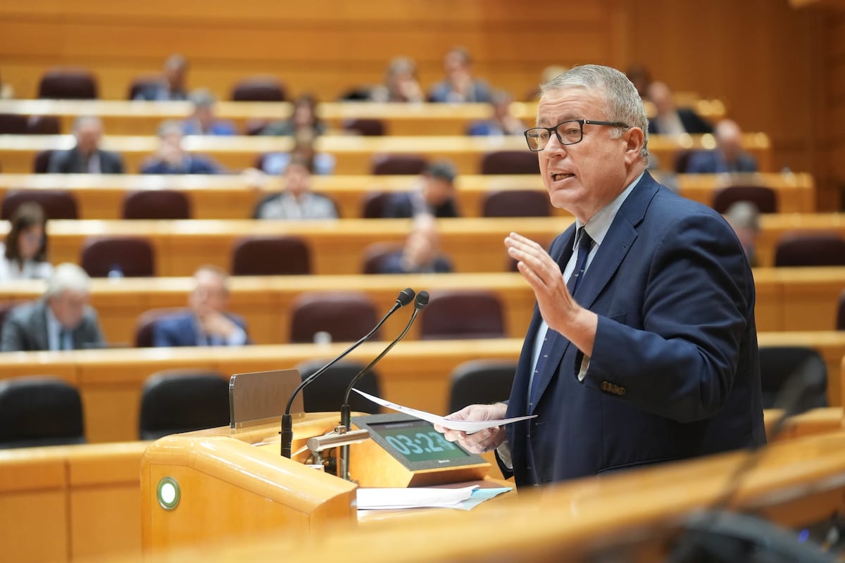 El PP endurece con Junts y Vox en el Senado la ley de multirreincidencia antes de su vuelta al Congreso