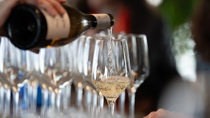 Un camarero sirve una copa de vino blanco en Barcelona.