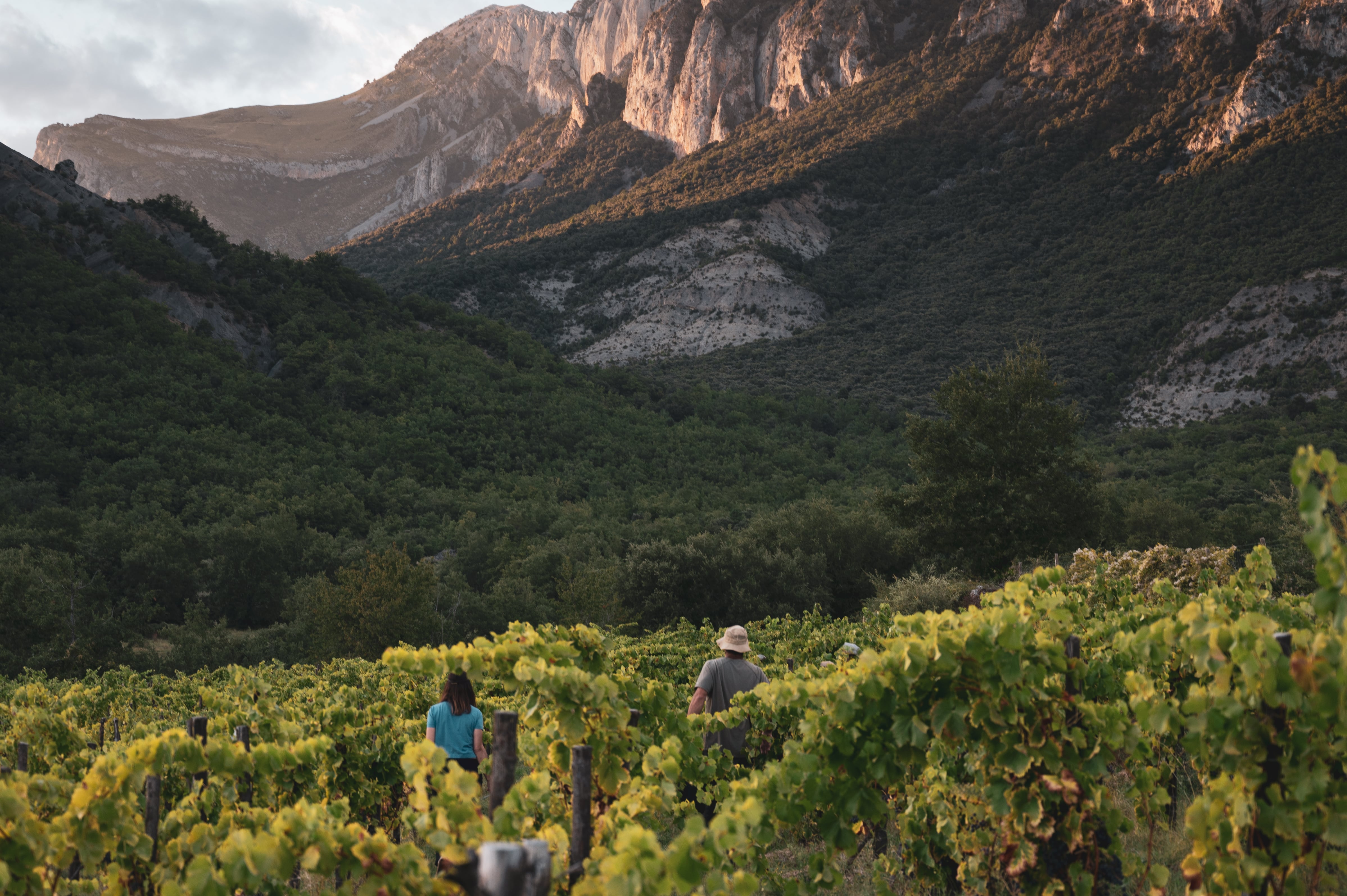 Vignerons de Huesca, una apuesta por el territorio, las uvas autóctonas y los vinos sin artificios