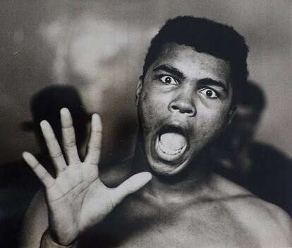 Retrato de Still Cassius Clay II tomado en el Territorial Drill Hall, en Shepherds Bush (Londres) en mayo de 1963.