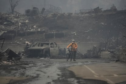 Pacific Palisades es conocida, tambin, por ser el hogar de muchos nombres conocidos del mundo del espectculo. 