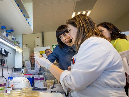La ministra de Ciencia e Innovación, Diana Morant, durante una visita a un centro científico de La Rioja, el pasado julio.
