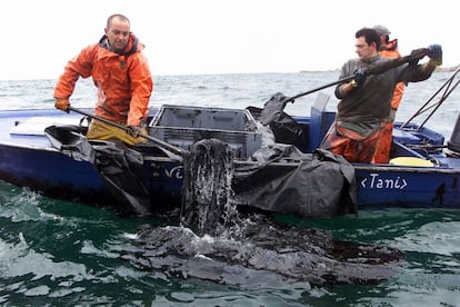 "Percebeiros" de Aguiño, (Pontevedra), a la entrada de la Ría de Arosa, la primera de las Rías Bajas, retiran fuel del agua desde su barca, con medios artesanales.