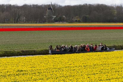 Turistas en una barcaza recorren los campos de narcisos cerca de Lisse, Países Bajos occidentales.