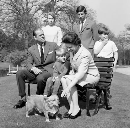 De arriba a abajo y de izquierda a derecha, la princesa Ana, el rey Carlos III, el príncipe Andrés, Felipe de Edimburgo, el príncipe Eduardo e Isabel II, en los jardines de Frogmore, en Windsor, el 21 de abril de 1968.