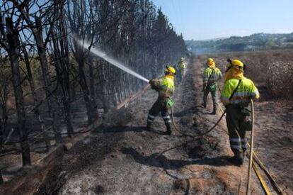 Los bomberos intentan apagar el incendio que ha obligado a desalojar un cámping en Xàbia.