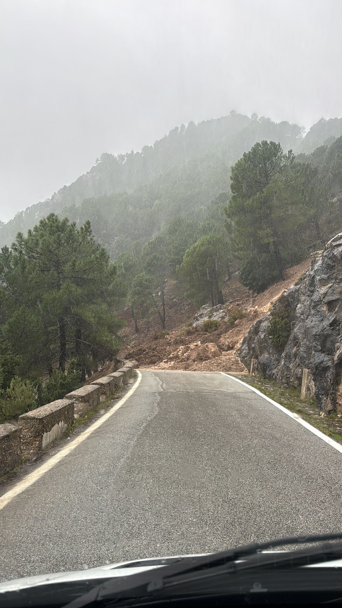 La carretera del puerto de Las Palomas, entre Zahara de la Sierra y Grazalema, después del corrimiento de tierras de este lunes.