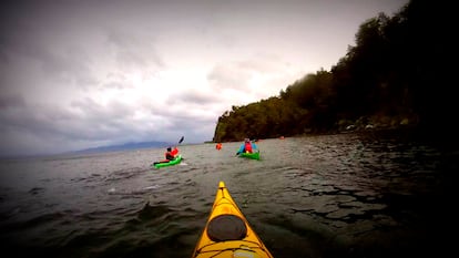 Canoeists paddle in a bay in Punta Arenas, in an image shared on social networks by Meydell Simancas.