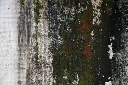 El musgo cubre una pared de mosaico del antiguo Hotel Ducor en Monrovia, Liberia, el 1 de octubre de 2017. El hotel Ducor fue en su día el más prominente de África. Construido en el punto más elevado de Monrovia por el israelí Moshe Mayer en 1960, cerró sus puertas 29 años después tras haber sido el primer establecimiento hotelero de 5 estrellas en el continente. Frecuentado por políticos, diplomáticos y empresarios de toda África y extranjero, fue un ejemplo de los años prósperos que vivió en aquella época la África occidental. Sus instalaciones acogieron numerosas reuniones entre líderes africanos y numerosas anécdotas envuelven su historia, como una del dictador ugandés Idi Amin, de quien se dice que se zambulló en su piscina con pistola incluida. El Ducor fue usado tamibén como posicionamiento de tiro por los compatientes del ex presidente liberiano Charles Taylor durante el sitio de Monrovia por las fuerzas rebeldes en 2003. Desde entonces, una espesa vegetación rodea cada uno de los rincones de este edificio desértico de estilo art déco.